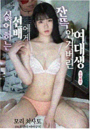 一平米的家家庭短剧封面